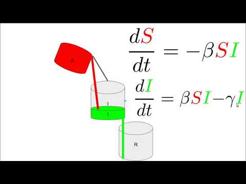 SIR Model For Disease Spread- 1. Introduction
