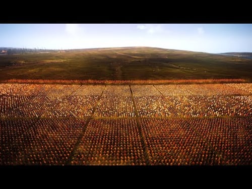 Hannibal's Masterpiece! - Battle of Cannae 216 BC: Greatest Victory in Military history?