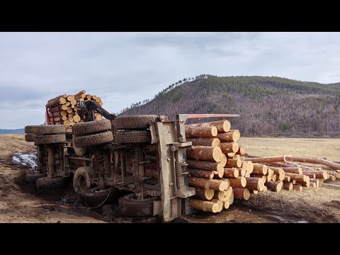 Volvo лесовоз. Положил прицеп