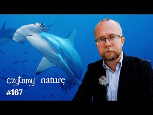 Rekin wstrzymuje oddech! - Saturn zabrudzony - Czaszka w piasku | Czytamy naturę #167