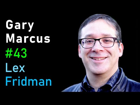 Gary Marcus: Toward a Hybrid of Deep Learning and Symbolic AI | Lex Fridman Podcast #43