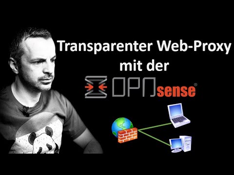 OPNsense Transparent Web Proxy
