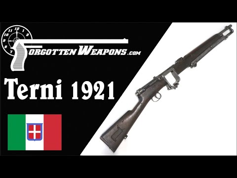 Terni Model 1921: Italian Interwar Assault Rifle with a Cube Mag
