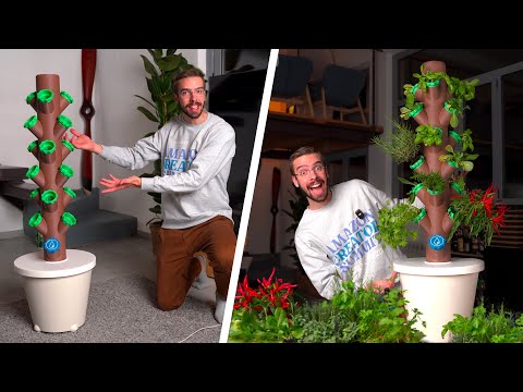 Come costruire una SERRA IDROPONICA FAI DA TE con Arduino stampata in 3D 🌱