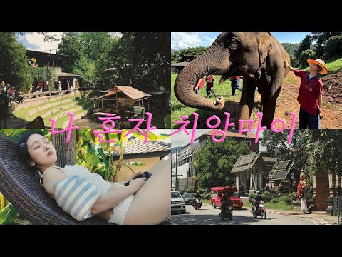 퇴사하고 나 혼자 치앙마이 일주일 살기 🇹🇭