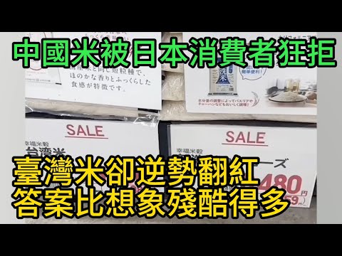 中國米被日本消費者狂拒,臺灣米卻逆勢翻紅,答案比想象殘酷得多