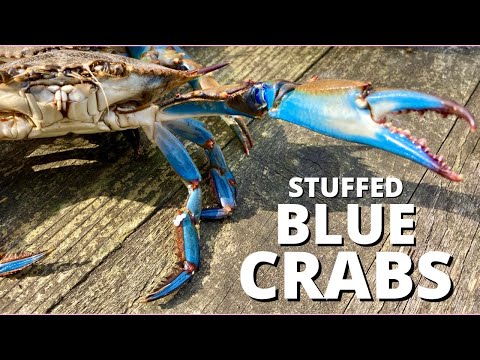 The Only Way I Want to Eat Blue Crab Ever Again