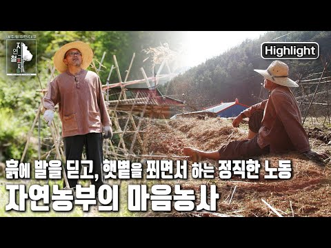 🤚🏻맨손과 🦶🏻맨발로 흙을 딛으며 농사를 짓는다 | 자연의 철학자들 12부 '마음농사가 으뜸이라' (KBS 20220617 방송)