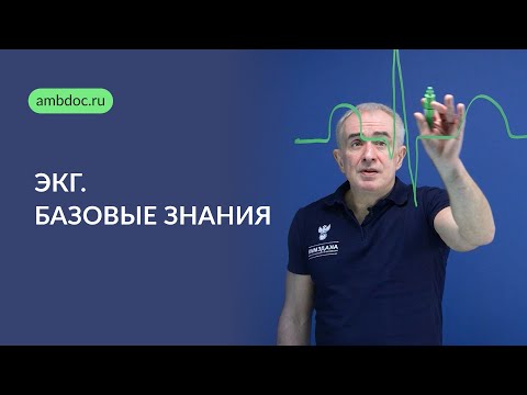 ECG. Basic knowledge