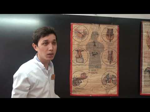 Эндокринді бездер физологиясы