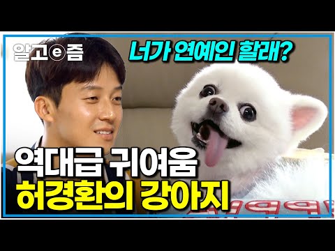 "이렇게 예쁜 강아지 봤어요?" 포실포실 깜찍한 외모로 가족들의 사랑을 듬뿍 받는 반려견의 문제 행동은?|세상에 나쁜 개는 없다|알고e즘