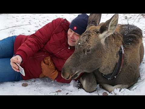 Animals Teach Us Love is What Makes Life Worth Living ❤️