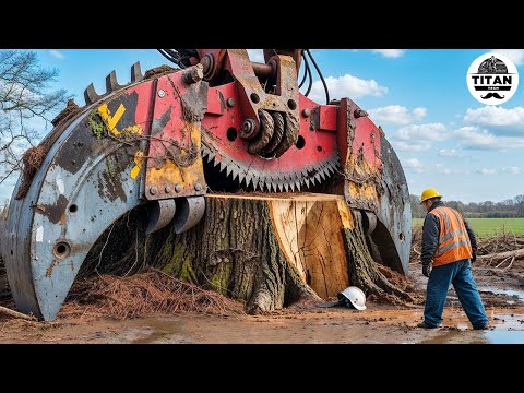 Extreme Dangerous Monster Stump Removal Excavator | Amazing Fastest Wood Chipper Machines #42