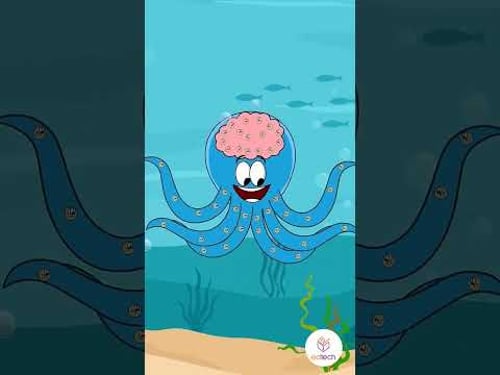 how many brains does octopus 🐙 have ? #viral #funfacts #octopus #kidseducation #edtech