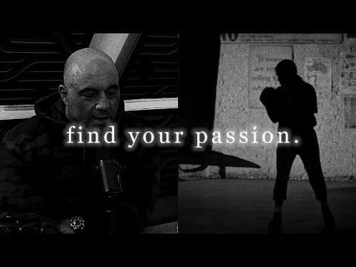 π½πππ πͺπ π¦π£ π‘ππ€π€ππ π.