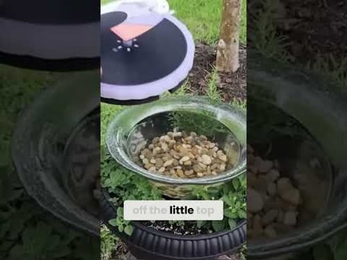 EASY Solar Fountain Hack You’ll Wish You Knew Sooner!