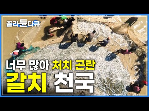 갈치 한 마리에 고작 600원? 던지고 당기면 그물 가득 잡히는 바다|물고기 따라 풍요로운 바다에서 살아가는 아프리카 반유목민 베조족|마다가스카르|세계테마기행|#골라듄다큐