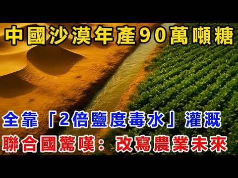 中國沙漠年產90萬噸糖,全靠「2倍鹽度毒水」灌溉!聯合國驚嘆:改寫農業未來!