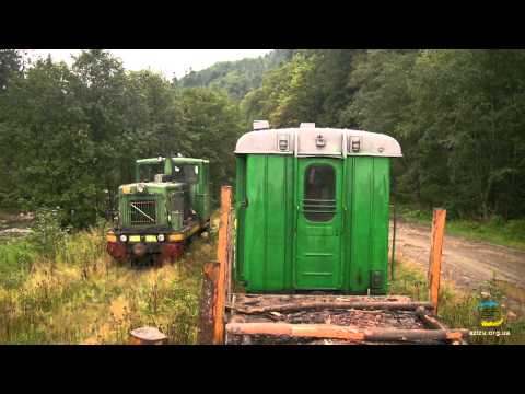 Вигодська вузькоколійка, ТУ4-1695 / Schmalspur waldbahn in Vygoda