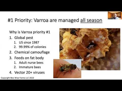 Lecture 13: Managing Varroa Effectively