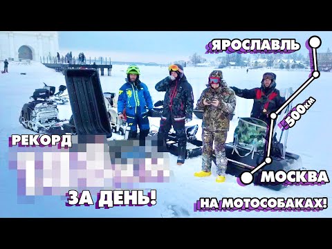 A DAY RECORD on MOTORDOGS! From Moscow to Yaroslavl, 500 km on MOTORDOGS! Episode 4