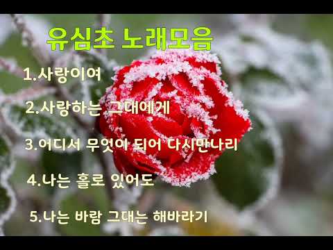 유심초 노래 모음/사랑이여*사랑하는 그대에게*외3곡