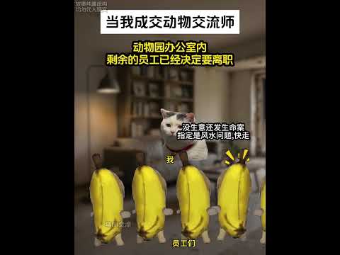 当我成了动物交流师 #猫meme #猫meme小剧场 #动画 #猫meme剧场 #搞笑