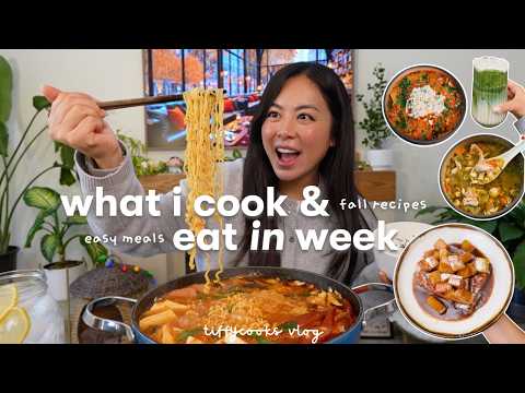 what i cook in a week 🍜 simple home cooked meals | hosting friends, skin care routine, army stew