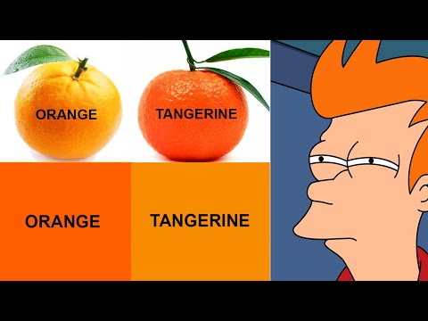 Memes That Taught Me More Than School