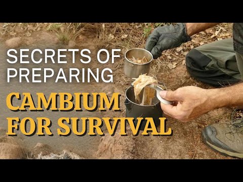 Learn this technique to never go hungry again!