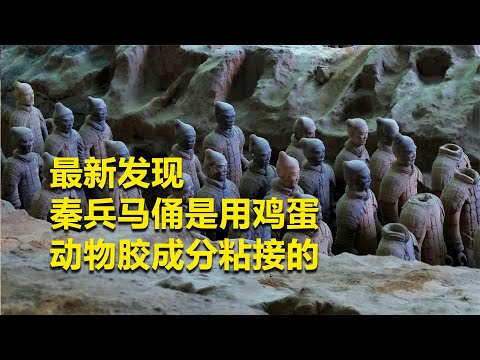 High-tech discovery at Qin Shi Huang Mausoleum: Glue found on Terracotta Warriors, Chinese purple...