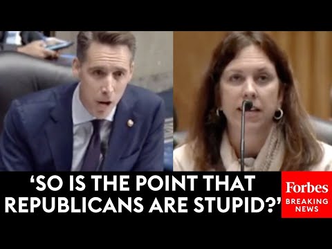 'So Is The Point That Republicans Are Stupid?': Josh Hawley Grills Biden Nominee On Past Writing