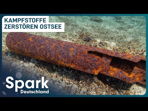 Gefährliche Munition in der Ostsee | Kampfmitteltaucher im Einsatz