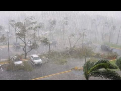 (NO ADS) THE EXTREMELY HEAVY‼️ COLD AND CHILLING RAIN LOVED BY THE WHOLE WORLD