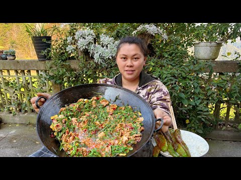 今天用野芹菜炒牛肉,配着辣椒非常下饭 Pick some wild celery and stir-fry it with beef