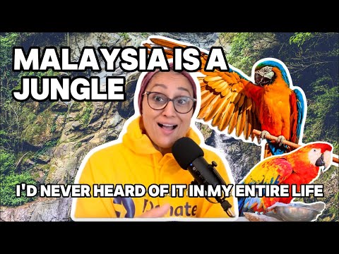 Reasons Why MALAYSIA Is BETTER Than The Rest Of The World #malaysia #kualalumpur #fyp #lifeabroad