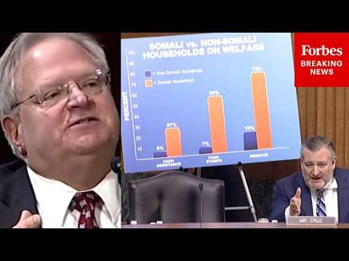 'It's A Simple Question...': Ted Cruz Has Tense Exchange About Somali-American Welfare Usage