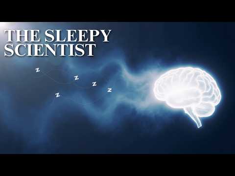 Why Do We Dream? | The Sleepy Scientist