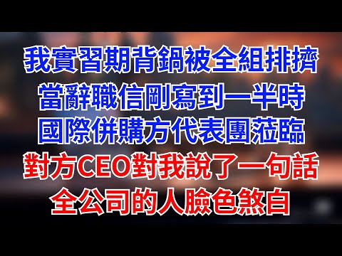 實習生背鍋被全組排擠,辭職信寫到一半,國際併購方代表團蒞臨,對方CEO掃視全場,目光落在我身上:5年前雨夜救我一命的年輕人,就是你吧?她拿過我的辭職信撕碎,全組臉色煞白。#為人處世#生活經驗#情感故事