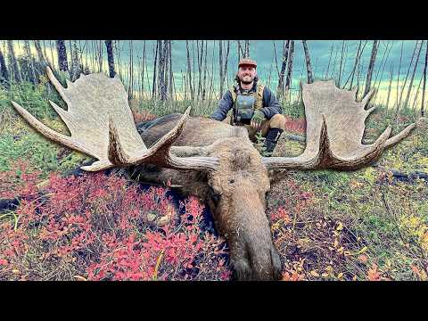 Hunting GIANT Bull Moose in Alaska | DIY Drop Camp Hunt | Mullet Man
