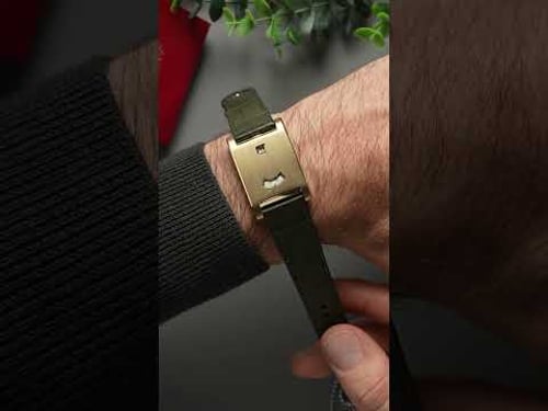 Cartier Tank á Guichets: Can you believe this design is from 1928?! #watchesandwonders #cartier