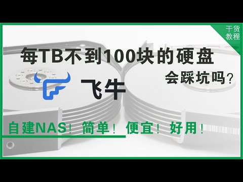 ¥98/T 每TB不到100块买氦气盘会踩坑吗?用ESXi+飞牛OS打造我的终极NAS!是真香还是翻车?|小米NAS|干货教程E24