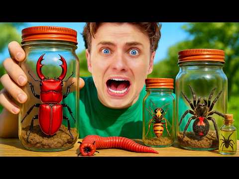 I Bought The Deadliest Insects (to keep as pets)