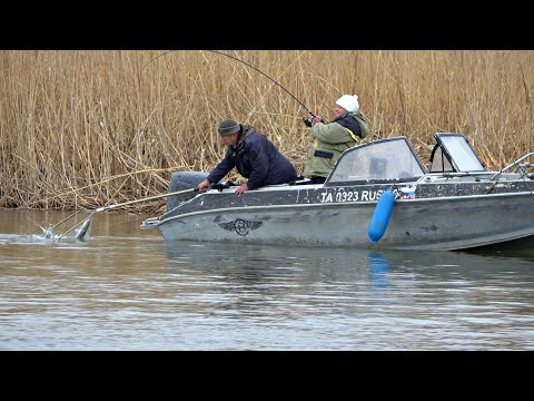 РЫБАКИ ДУМАЛИ ТАК НЕ БЫВАЕТ И БЫЛИ УДИВЛЕНЫ! Такое ВООБЩЕ ВОЗМОЖНО!? Рыбалка весной на спиннинг!