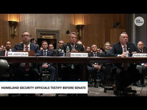 Rand Paul says 'no one believes' agents used proper tactics in Alex Pretti shooting at DHS hearing