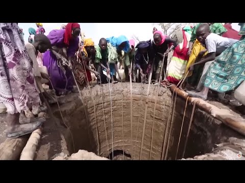 Climate Change: What Will Our Lives Look Like in 2050?