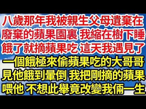 八歲那年我被親生父母遺棄在,廢棄的蘋果園裏 我縮在樹下睡,餓了就摘蘋果吃 這天我遇見了,一個餓極來偷蘋果吃的大哥哥,見他餓到暈倒 我把剛摘的蘋果,喂他 卻不想此舉竟改變我倆一生||笑看人生情感生活