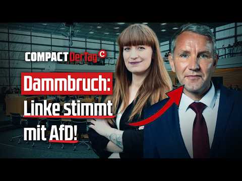 Dam break: Left Party votes with AfD!💥