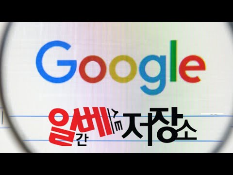 구글 일베 논란 레전드