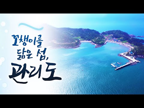 오늘은 대물 생선들이 많이 잡히네요 ^^ 신바람 나고 기분 좋습니다 우리 마누라 좋아하는 생선 말려다가 끓여 줘야겠네요 ㅎㅎ #섬남자 #육지여자 #관리도 #고군산군도